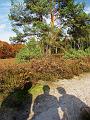 Wandeling van Monke en Judith op 21-10-2012 (42)